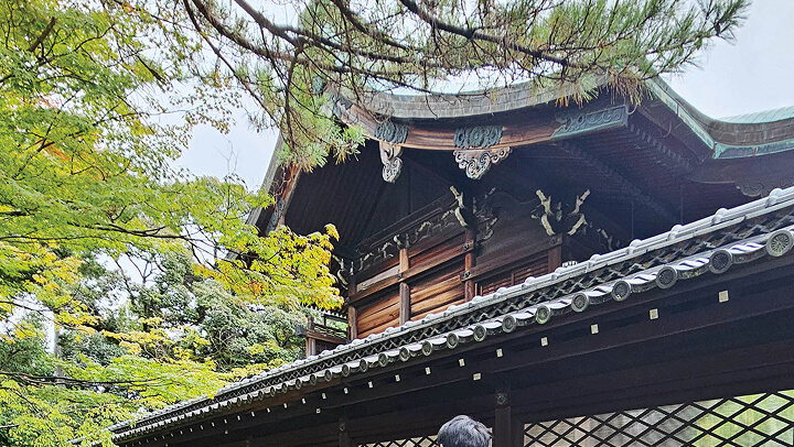 中西 大輔 研究室の関連イメージ