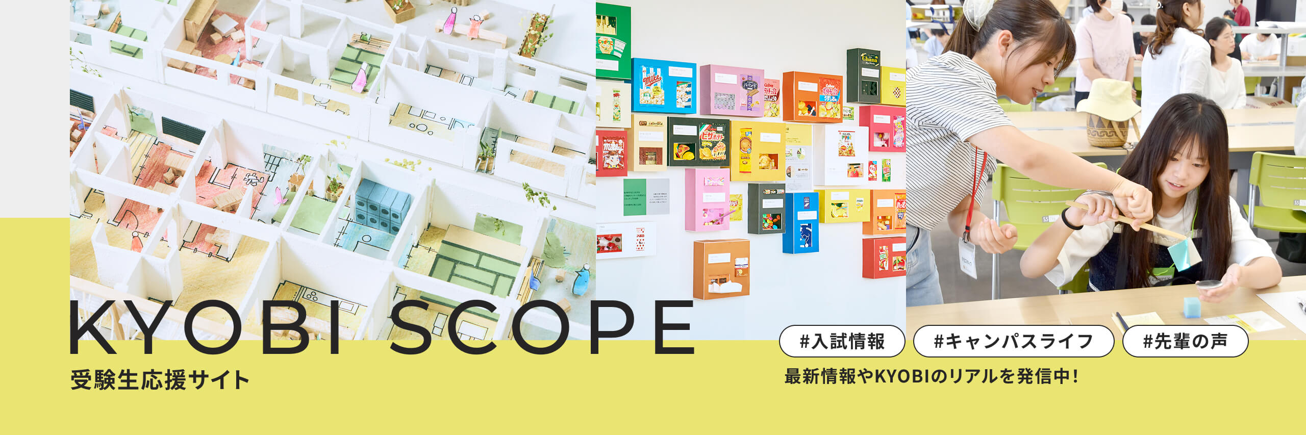 入試情報